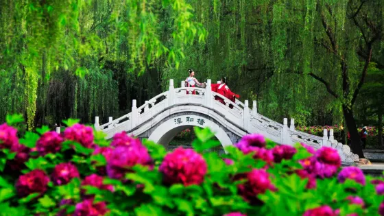 隋唐城遺址植物園