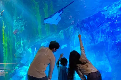 Lotte World Aquarium
