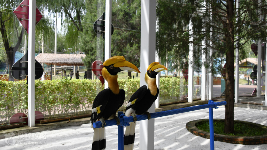 北京野生動物園
