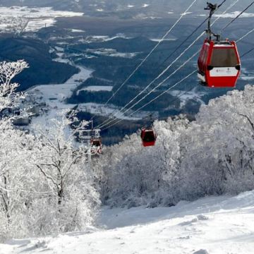 哈尔滨4日3晚私家团