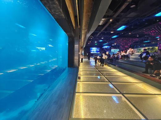 石家庄海洋公园