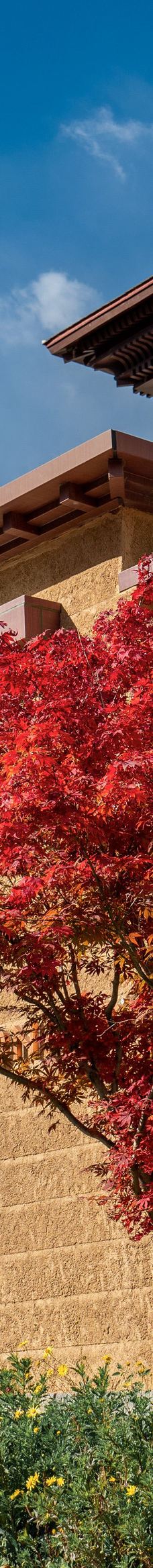 九寨华美胜地旅游度假区-九寨沟