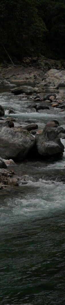 武夷山国家公园1号风景道-武夷山