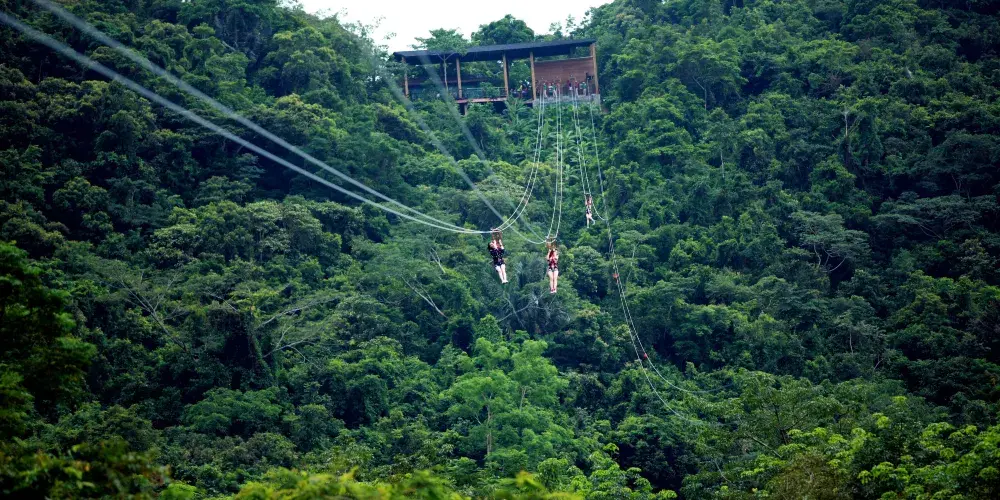 永安旅遊