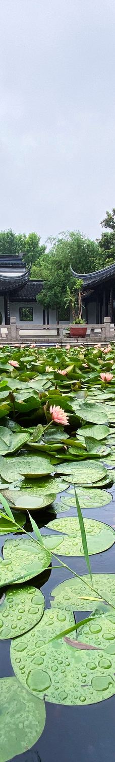 郑州中国绿化博览园-中牟