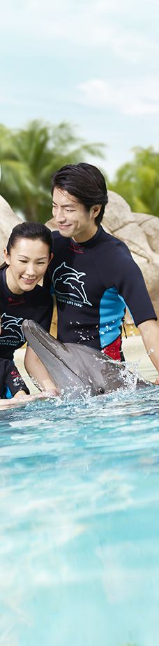 海哺栖息地-新加坡