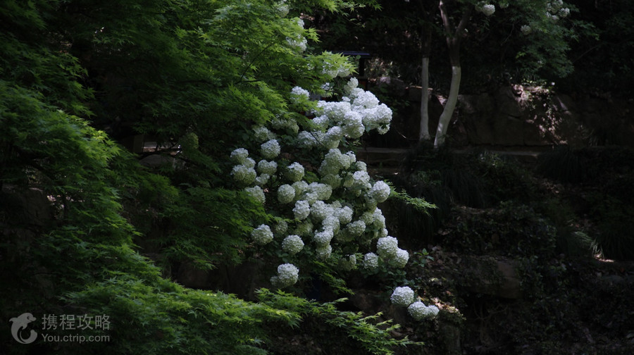 虞山景區