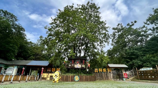 松鼠咔咔森林乐园