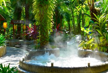 广东惠州南昆山云顶温泉一日游【冬日出游、公司团建好去处~】【[团队出游]您是否需要策划一场完美的公司旅行，快点击客服咨询吧】