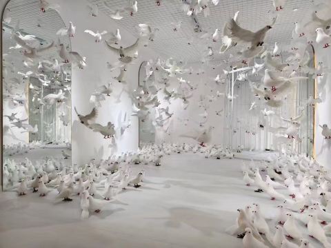 Gallery 2