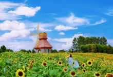 杭州湾海上花田景点图片