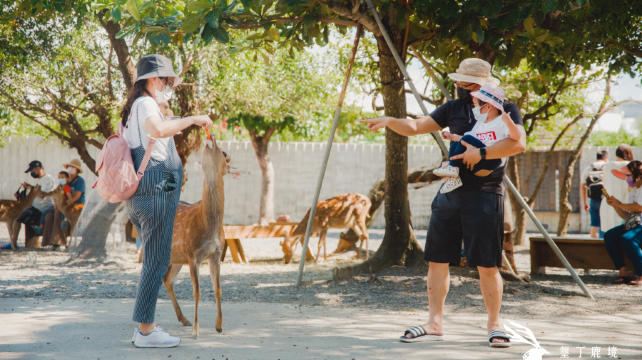 垦丁鹿境梅花鹿生态园区