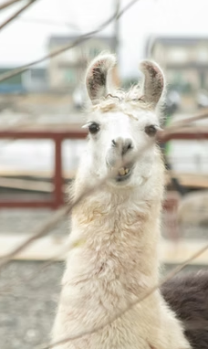 兰阳动植物王国-宜兰