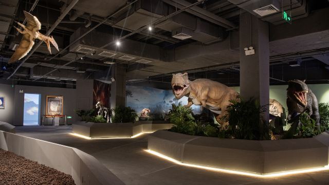 Gallery 1
