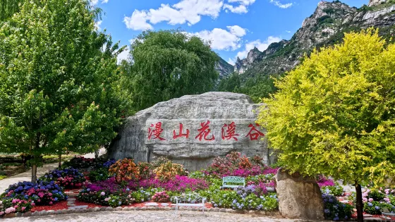 漫山花溪谷