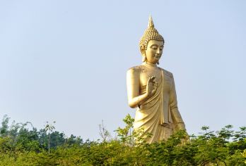 景洪出发：勐泐文化旅游区+野象谷+热带植物园一日游【私家团】【私家小团丨小众玩法丨纯玩无购丨独立包车丨行程可调丨随停随走丨时间自由丨上门接送】