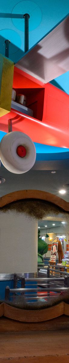 加州迪士尼乐园-阿纳海姆