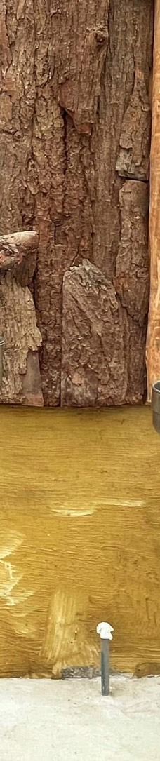 兰阳动植物王国-宜兰