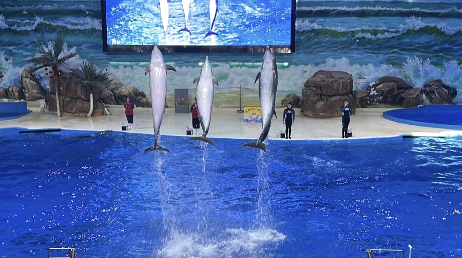 赣州极地海洋世界