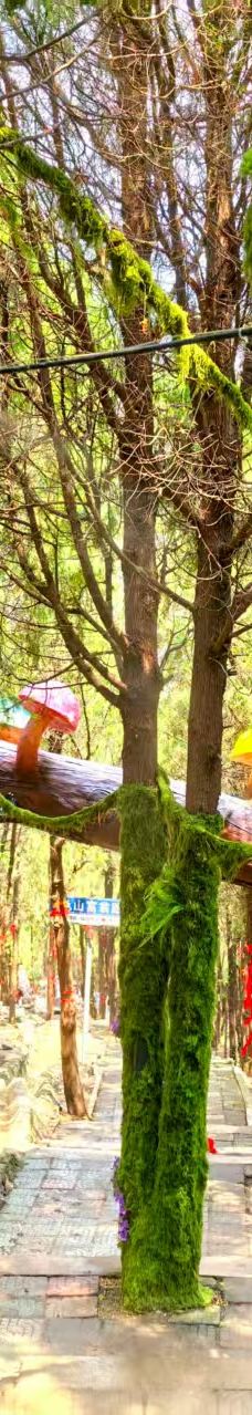 龟山望龙洞风景区-枣庄