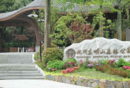 东明山森林公园景点图片