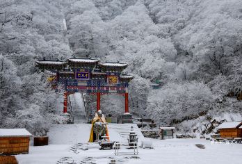 洛阳老君山景区一日游【直通车+早中晚三班次可选+赏灯车次】【景区指定直通车专线，保证服务质量，安全保障。】