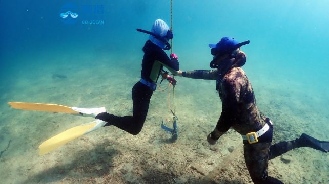 椰潜潜水海洋运动