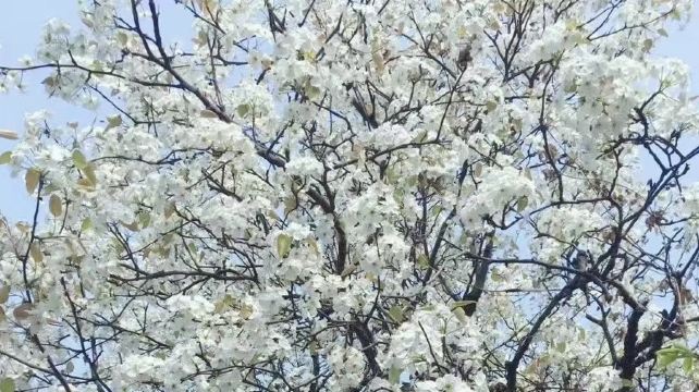 北欧小镇旅游度假区