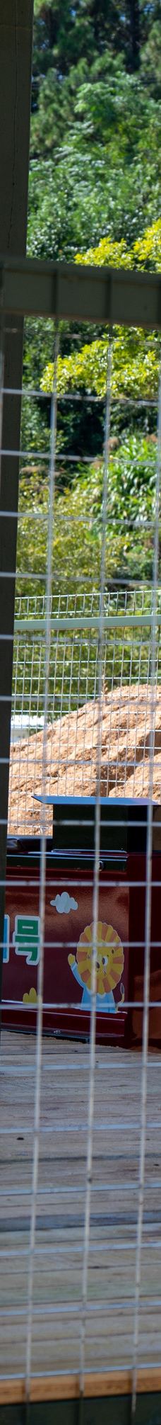 桐城动物园-桐城