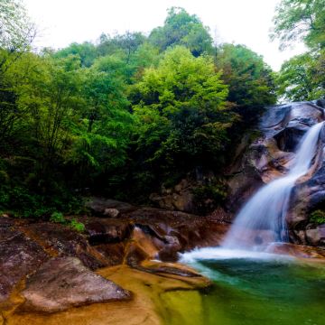 巴中+光雾山+燕子岭+米仓山国家森林公园+米仓山香炉山景区+恩阳古镇+南龛石窟5日4晚私家团