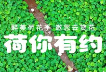 峰林晓镇景点图片