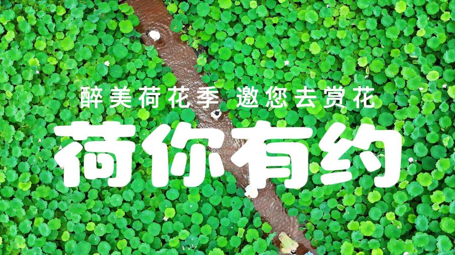峰林晓镇