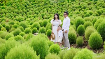 Manhua Sea of Flowers