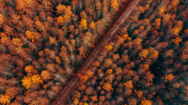 成都7天定制游：川西高原全景攻略