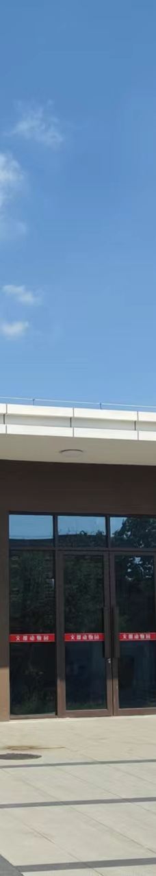 桐城动物园-桐城