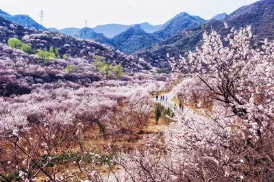 八达岭古长城(残长城)