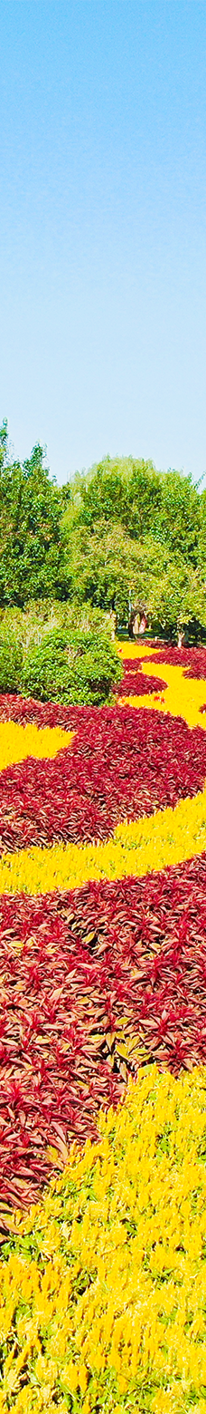 郑州中国绿化博览园-中牟