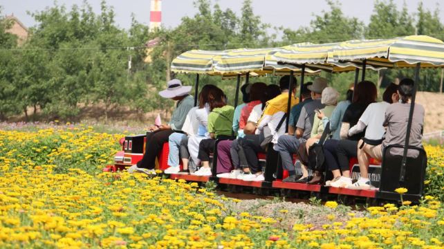 中宁县丰安屯文化生态园