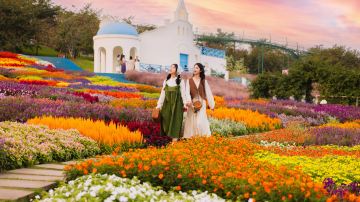 Manhua Sea of Flowers