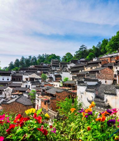 8日7晚 • 黃山風景區＋宏村景區＋婺源＋景德鎮古窯民俗博覽區＋三寶國際陶藝村