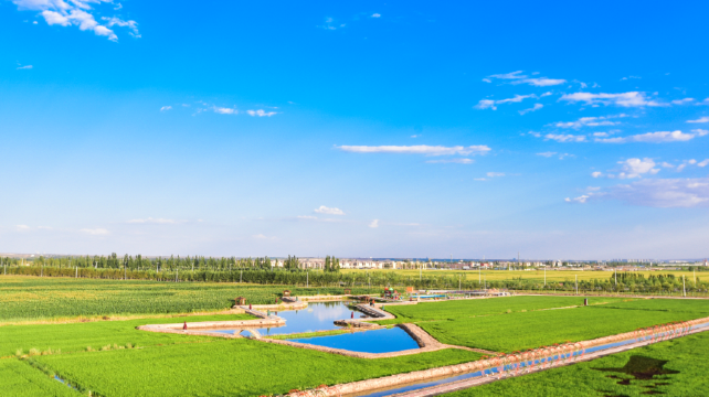 市外淘园生态农业观光园