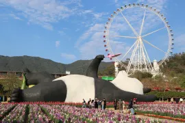揭陽1日遊:進賢門城樓的歷史魅力,望天湖的自然風光