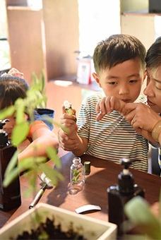 阿信巧克力农场-屏东