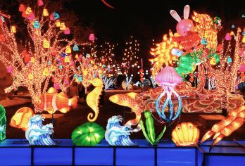 北京龙庆峡冰灯+永宁古城一日游【赶大集·吃美食+赏冰灯艺术】【[品质巴士]正规认证旅游巴士，超舒适座椅空间更大，乘坐更舒适；】