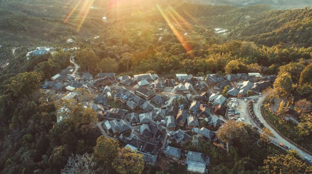 景迈山茶林文化景区