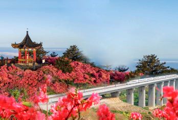 麻城龟峰山+五脑山一日游 武汉往返|赏杜鹃花|景点可调G【全程中文/英文/俄语/小语种服务，沟通无障碍，景点可调,多种车型可选】