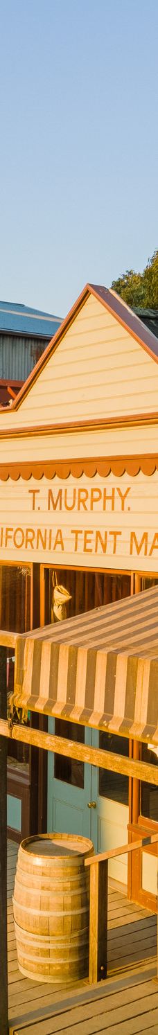 疏芬山-Golden Point