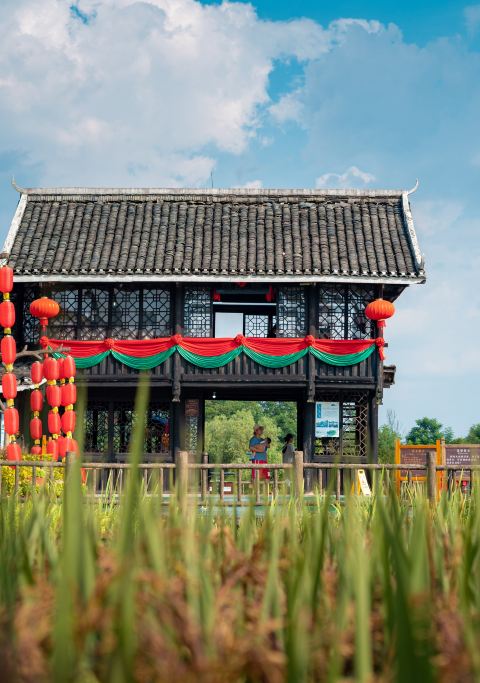 Guilin's Terraced River Journey · at an Easy Pace
