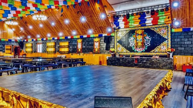 朵拉星辰走进藏家