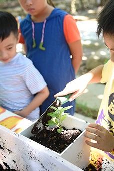 阿信巧克力农场-屏东